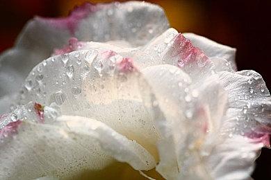 《冲突：混沌神器》今年11月推出 实机内容视频分享